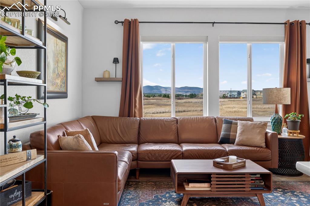 Image 16 of 40: Living Room