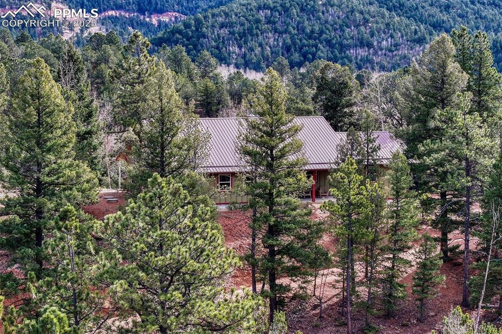 Image 26 of 30: Truly tucked into the trees at the top of this mountain community. Close to