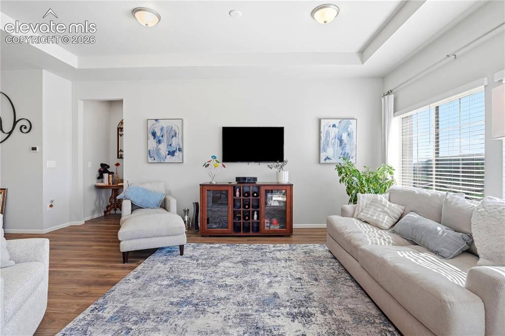 Image 19 of 47: Living area featuring tray ceilings, wood-finish flooring, a built-in enter