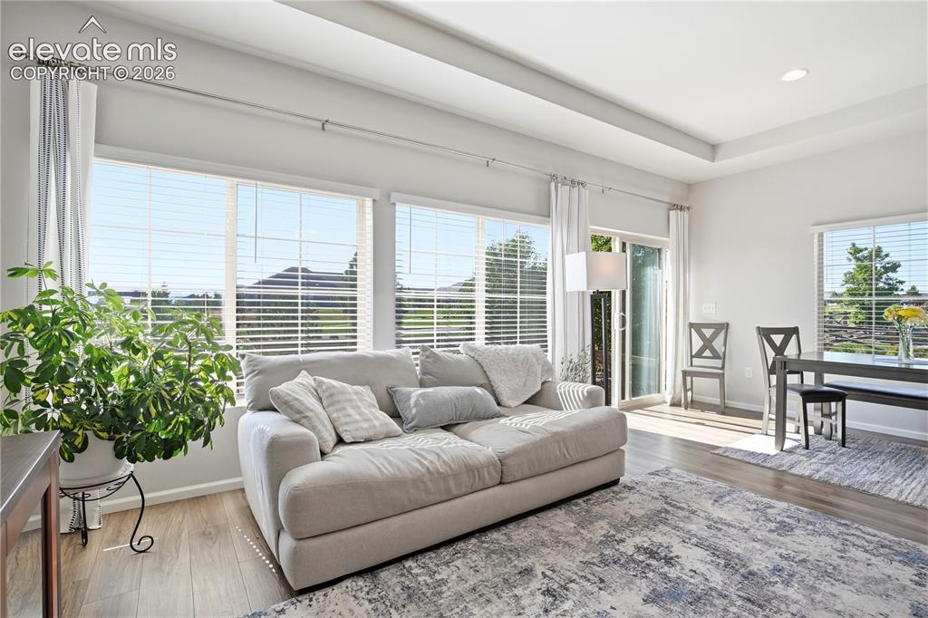 Image 22 of 47: Open concept living area featuring wood-finish flooring, recessed lighting,