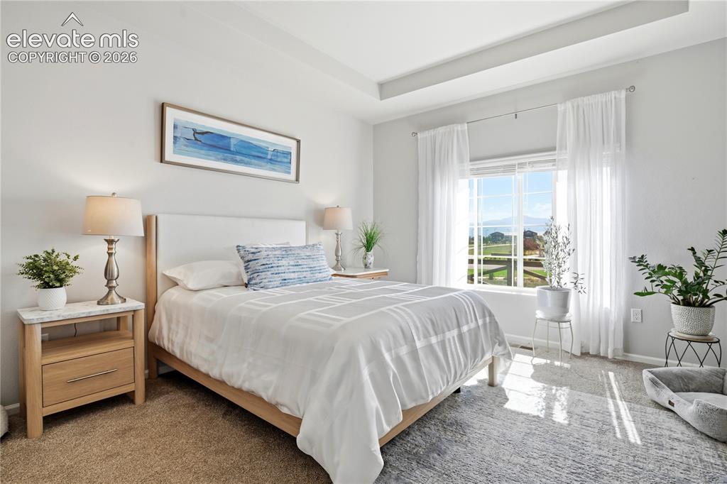 Image 27 of 47: Spacious bedroom featuring a tray ceiling, expansive window with outdoor sc