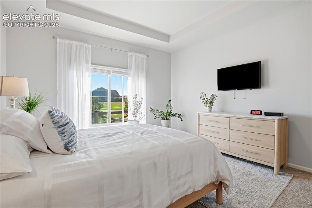 Image 28 of 47: Tray ceiling detailing a window with white sheer curtains and exterior land