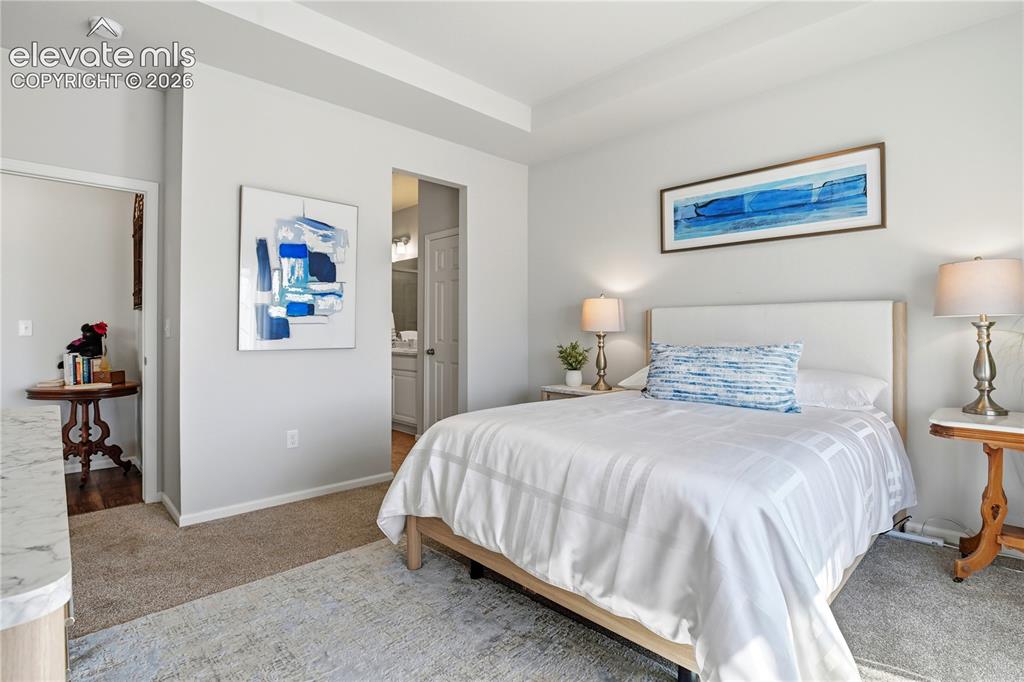 Image 30 of 47: Bedroom featuring carpet flooring, tray ceiling, and neutral wall paint