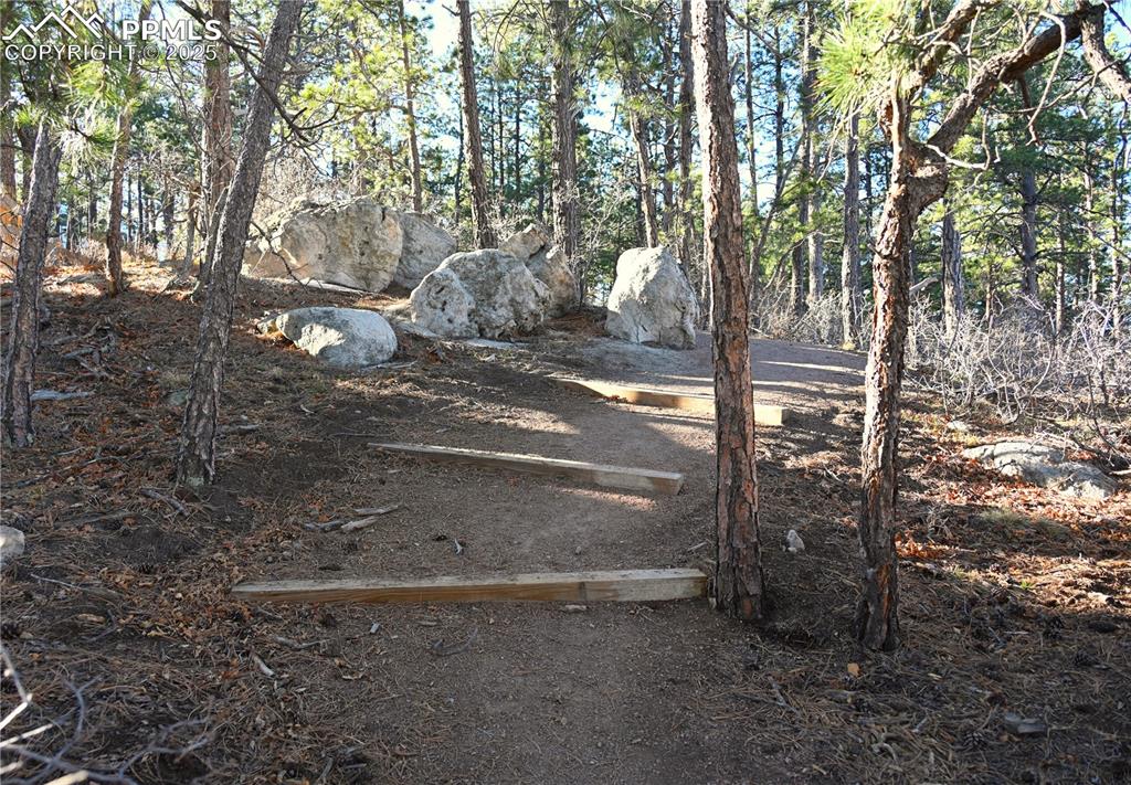 Image 47 of 48: Enjoy 9 Miles of hiking trails, right out the front door PLUS linking to Fo