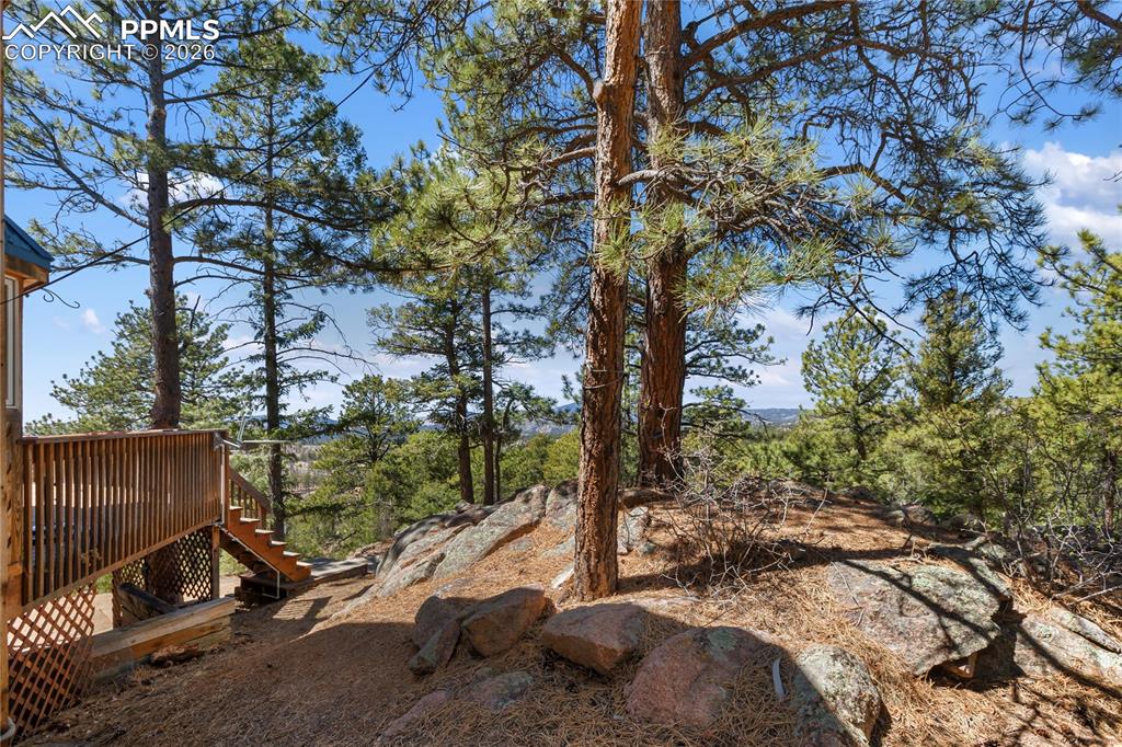 Image 3 of 45: Other