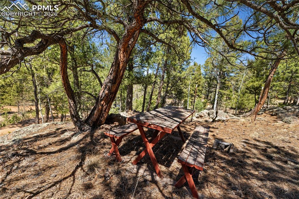 Image 36 of 45: Yard