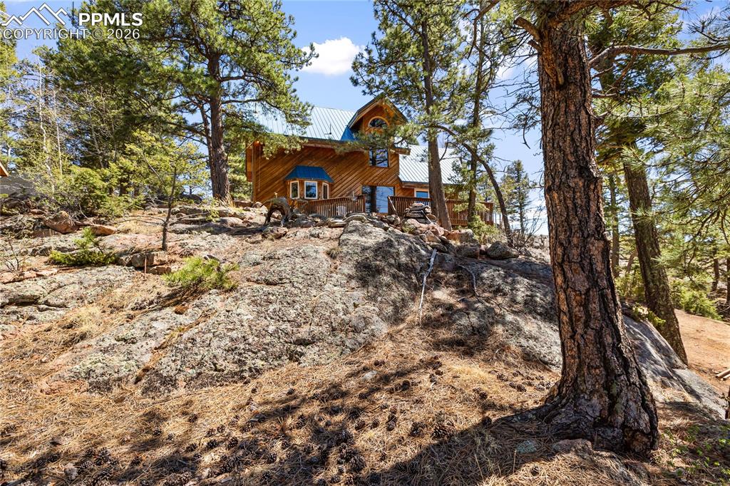 Image 37 of 45: Other