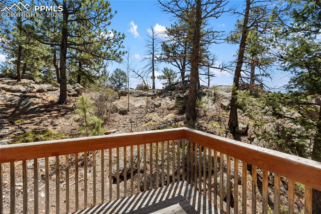 Image 38 of 45: Yard