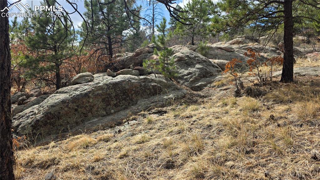 Image 10 of 26: Other
