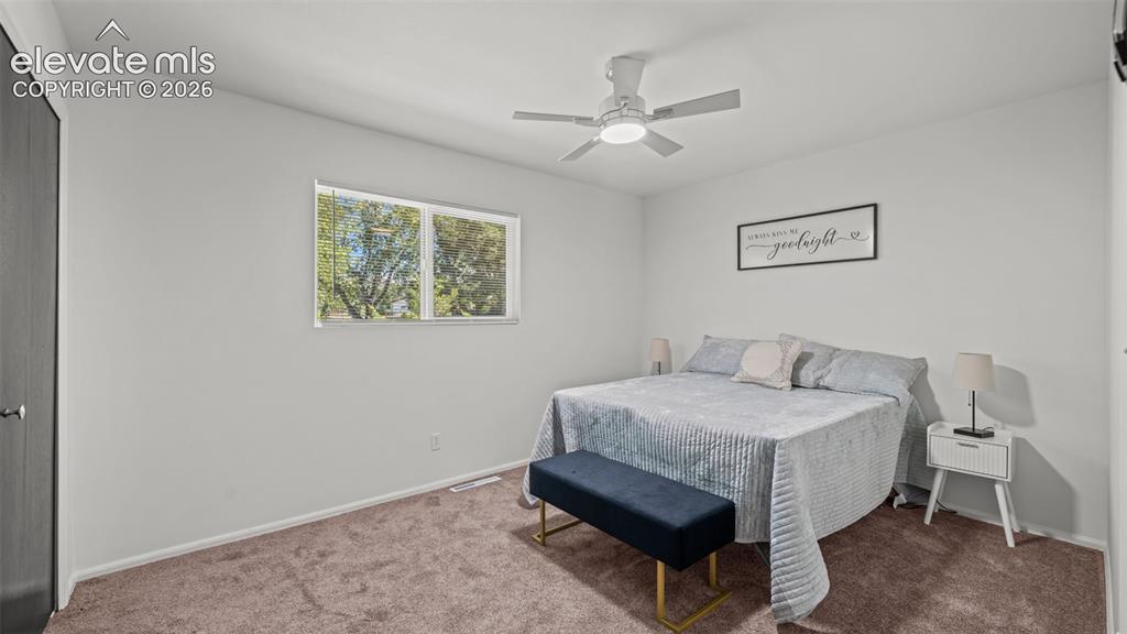 Image 19 of 44: New carpet throughout