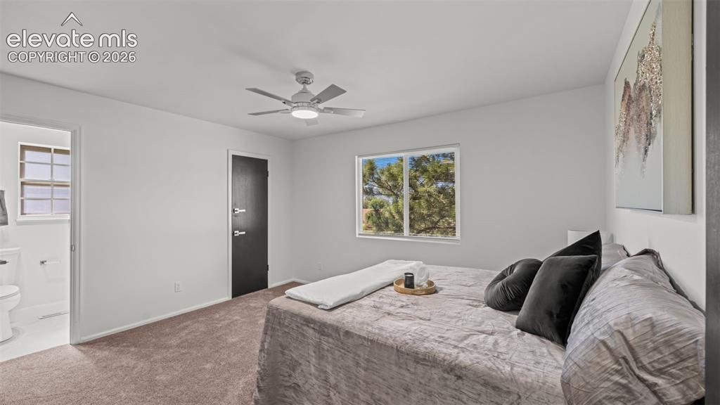Image 24 of 44: Bright bedroom featuring a large window, neutral carpet, and a ceiling fan