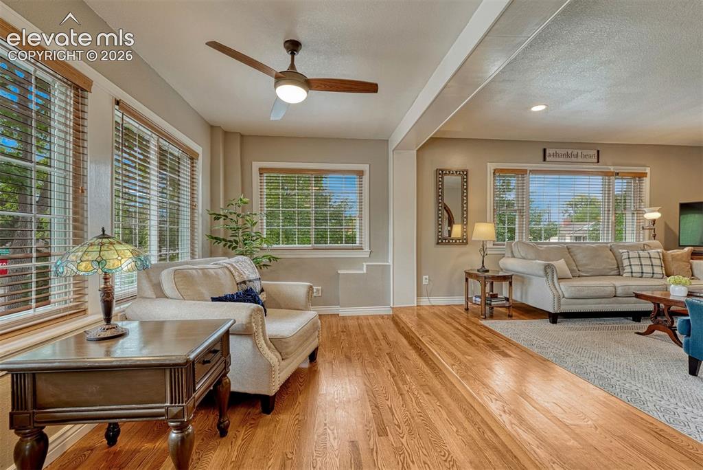 Image 6 of 50: Sun-filled living room featuring expansive windows.