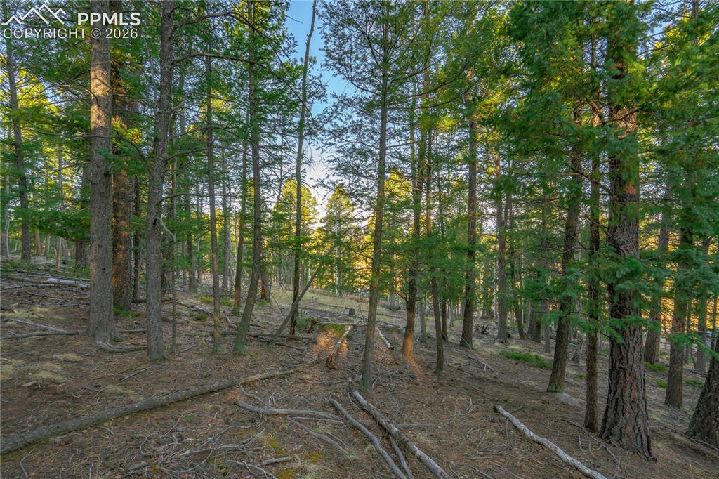 Image 11 of 21: Other