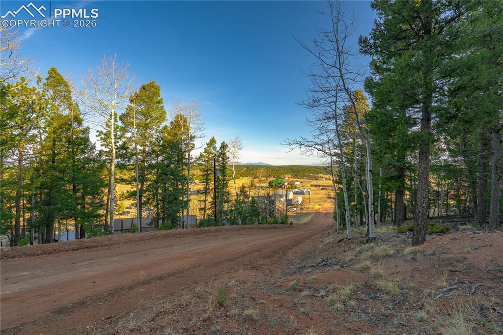 Image 14 of 21: Community