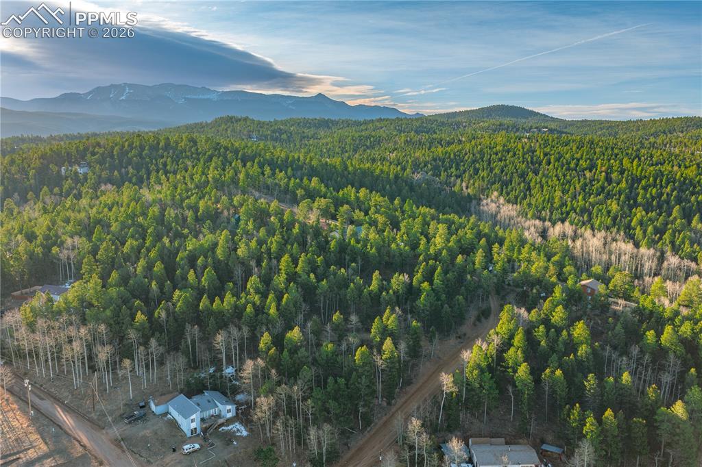 Image 17 of 21: Aerial View