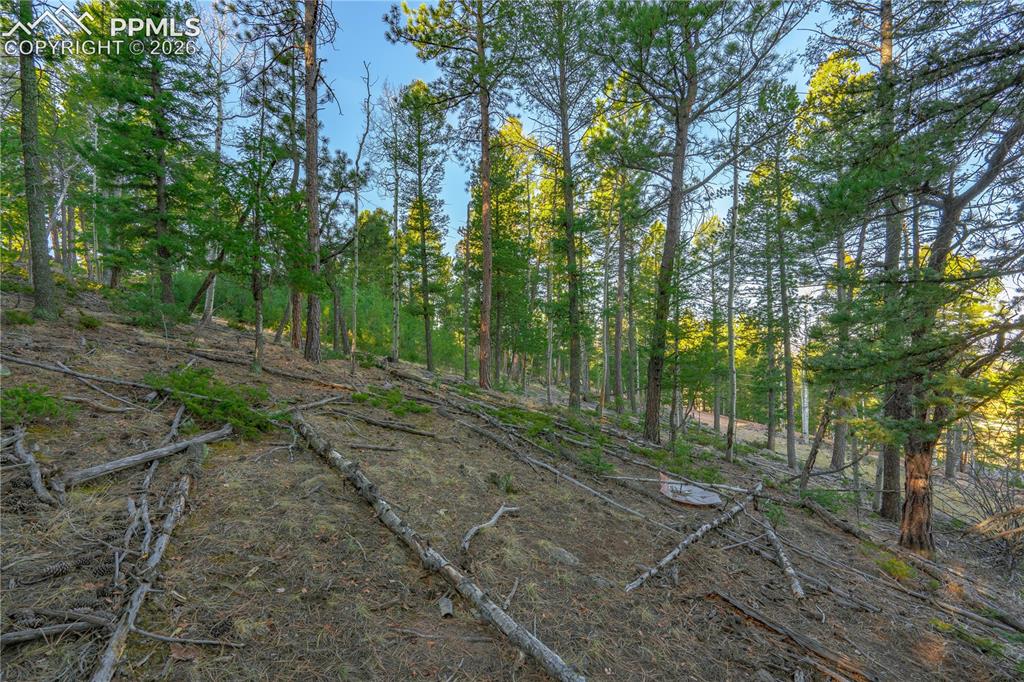 Image 7 of 21: Other