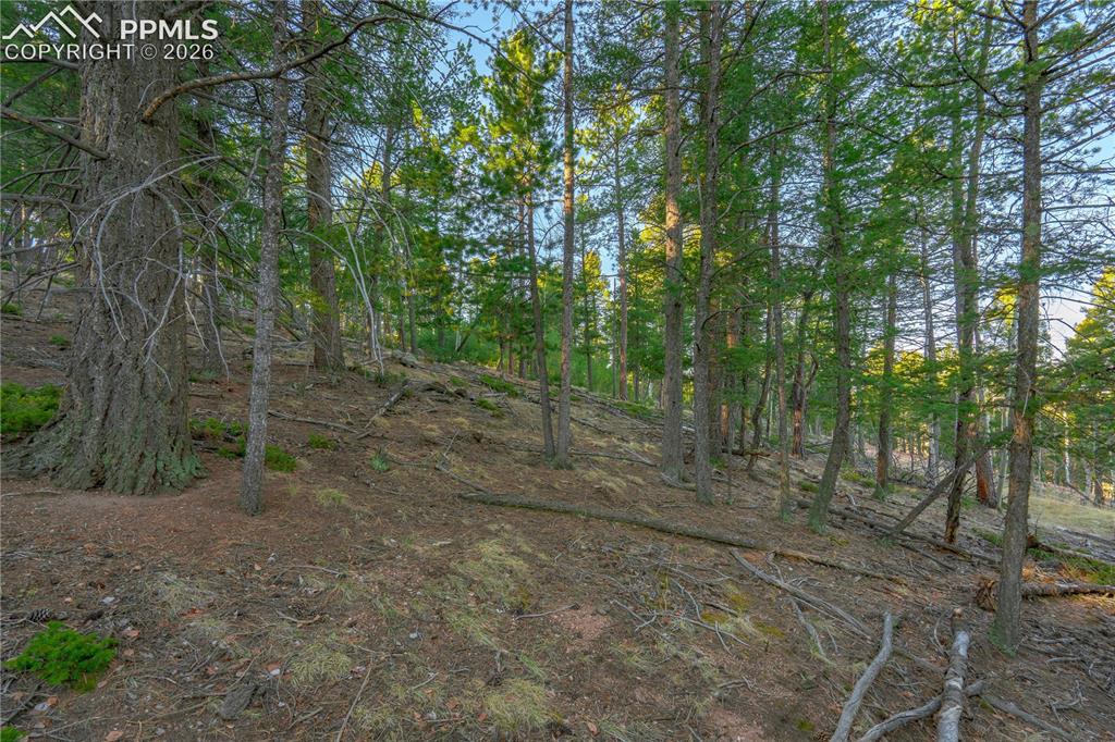Image 8 of 21: Other