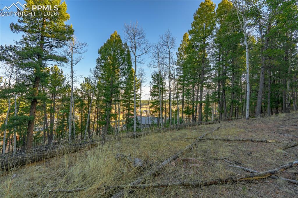 Image 9 of 21: Other