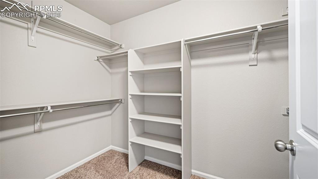 Image 28 of 48: Walk in closet featuring light carpet