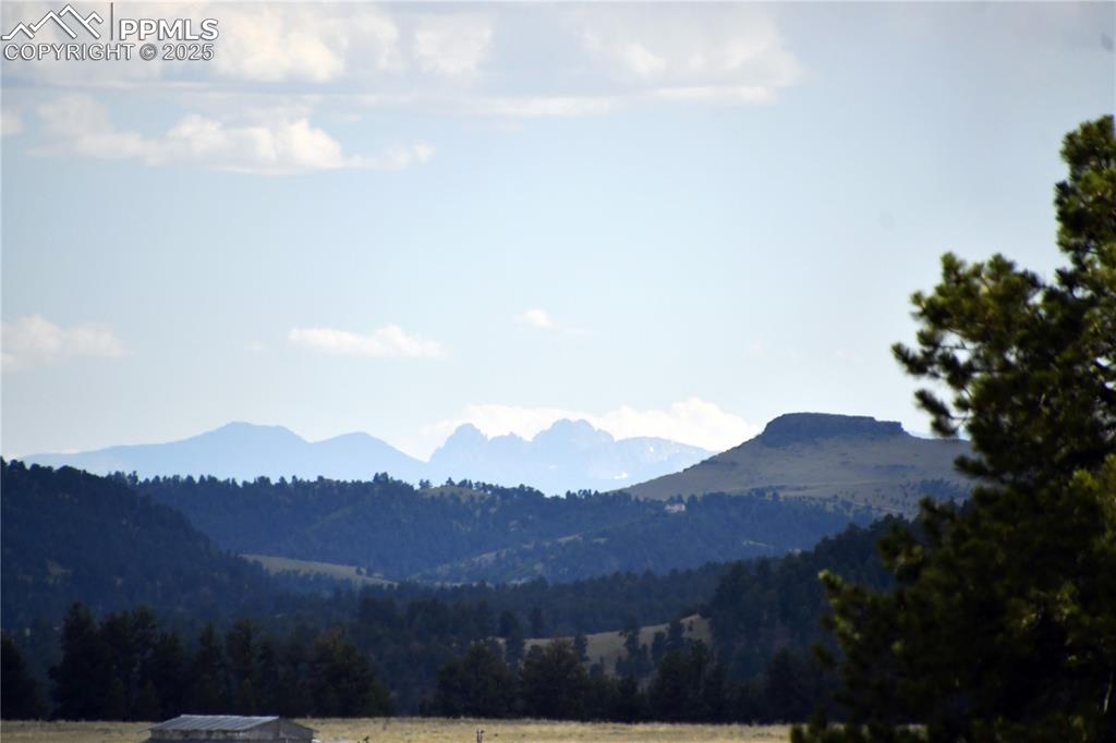 Image 28 of 40: Mountain view with a forest