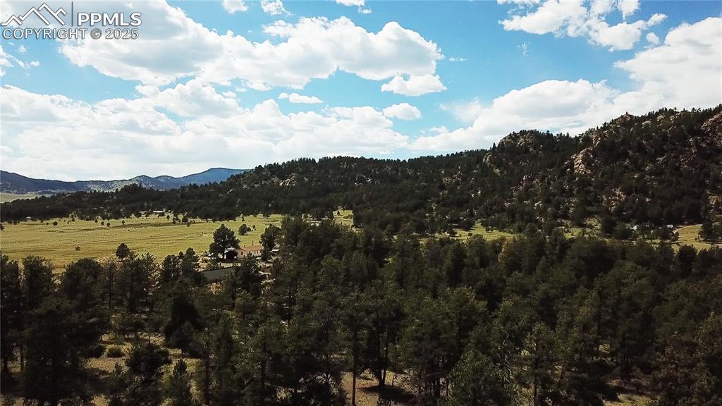 Image 29 of 40: Mountain view with a heavily wooded area