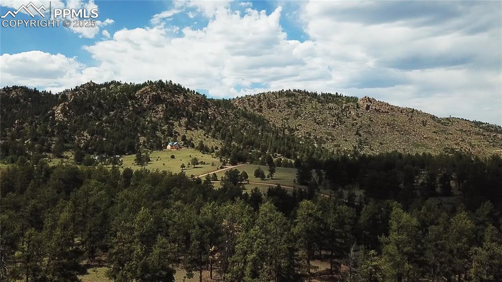 Image 30 of 40: View of mountain background with a forest