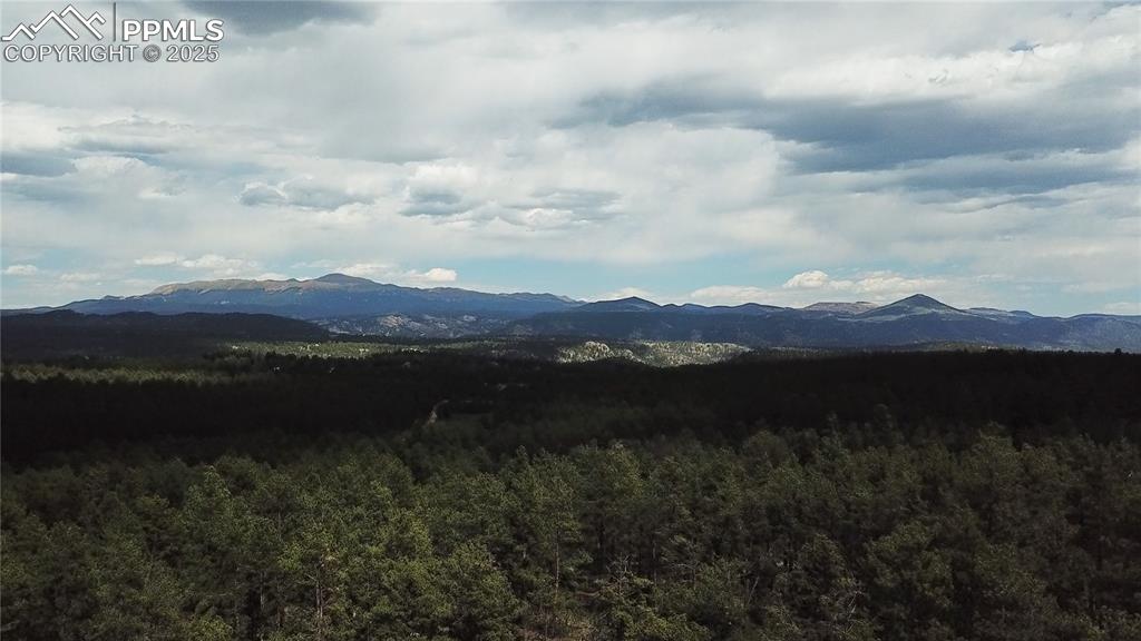 Image 32 of 40: View of Pikes Peak backdrop with a heavily wooded area