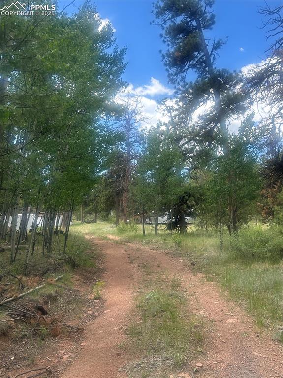 Image 38 of 40: View of dirt / gravel road