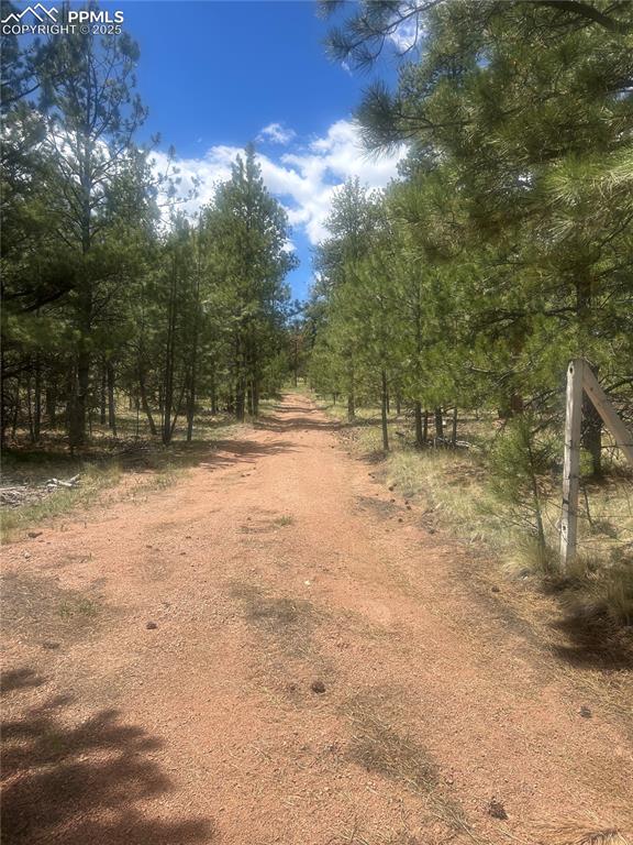Image 39 of 40: View of road