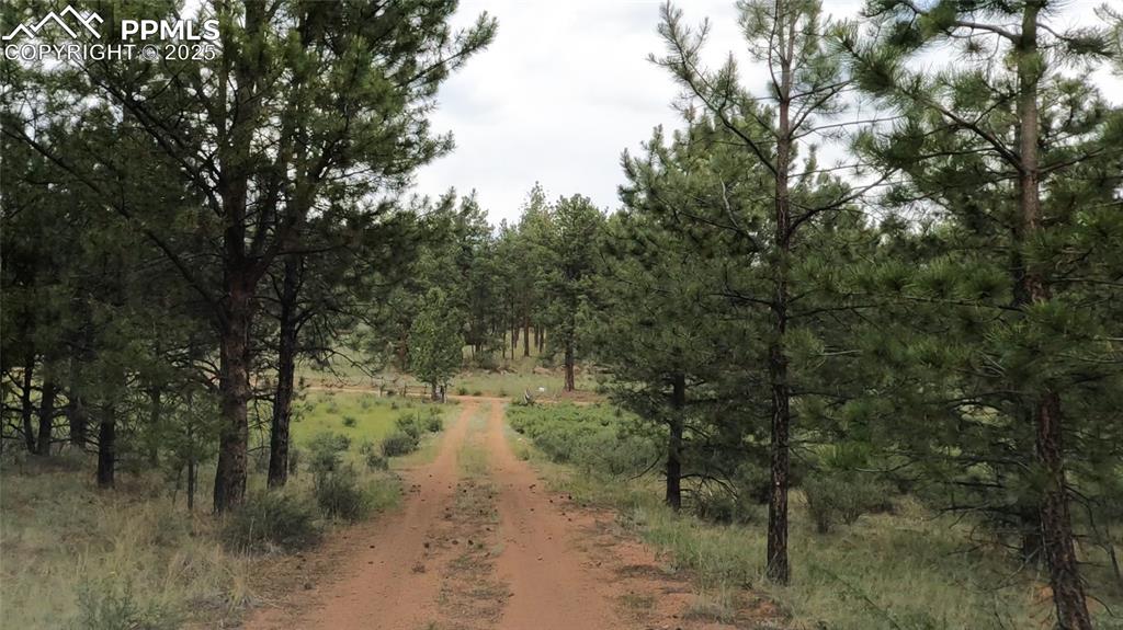 Image 40 of 40: View of dirt / gravel road