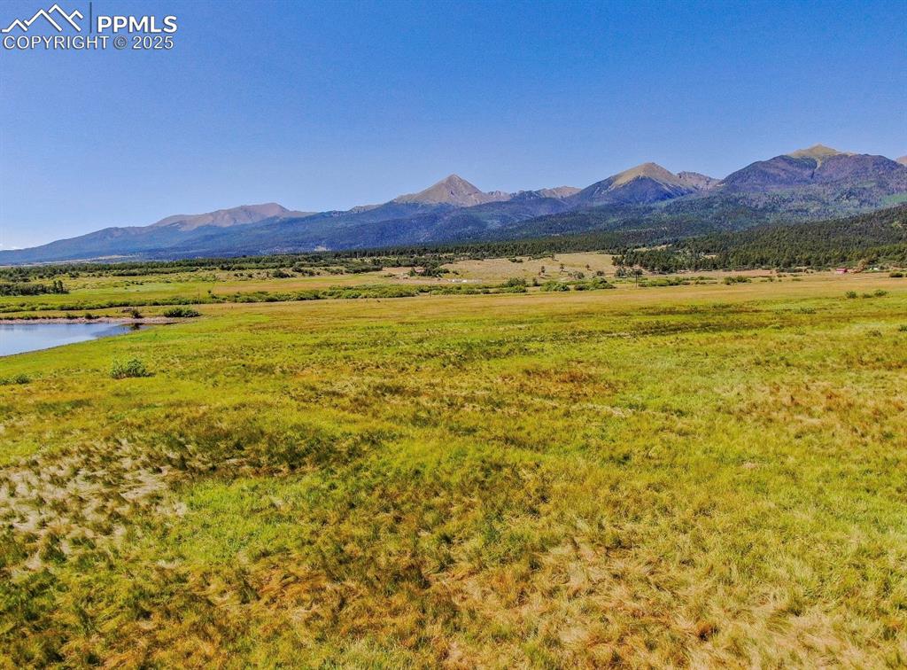 Image 13 of 19: View