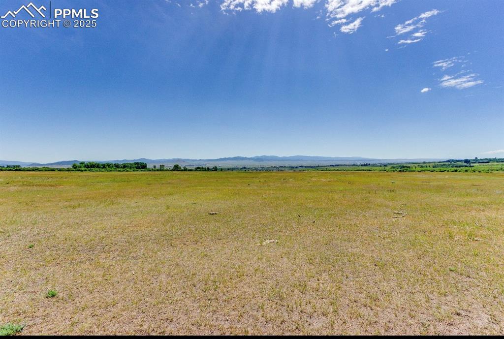 Image 17 of 19: Other