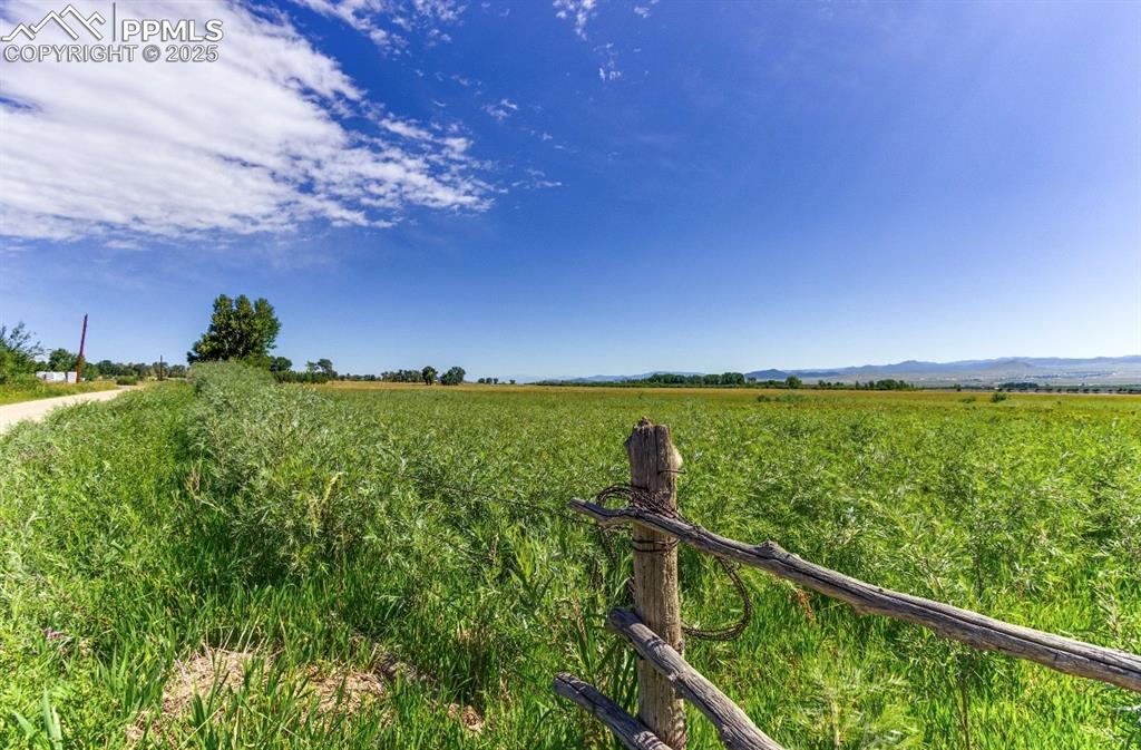 Image 19 of 19: Other