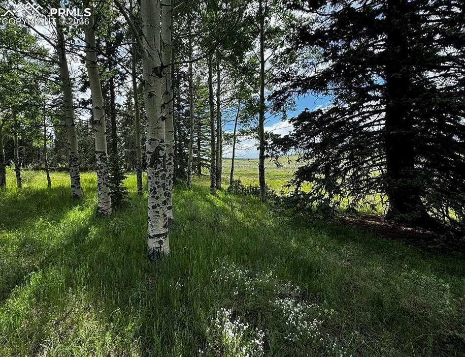 Image 3 of 4: View from front of property