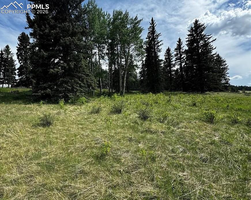 Image 4 of 4: View from the back of the property