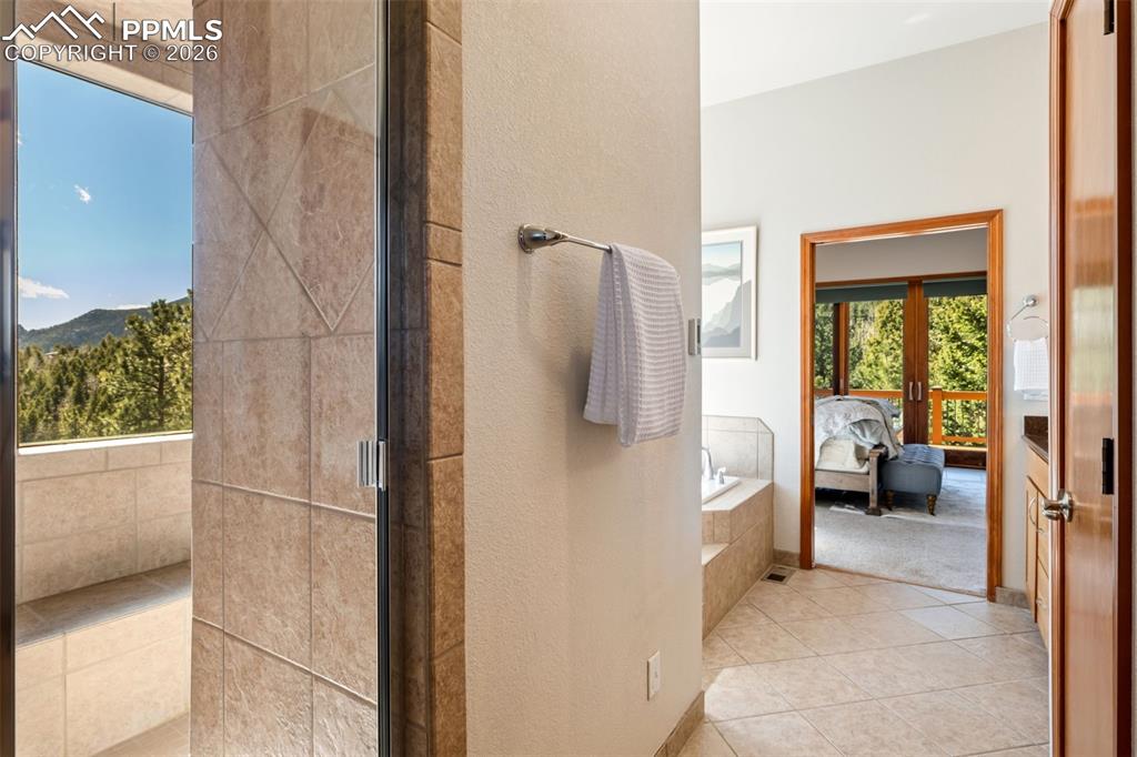 Image 28 of 43: Entrance to walk in steam shower