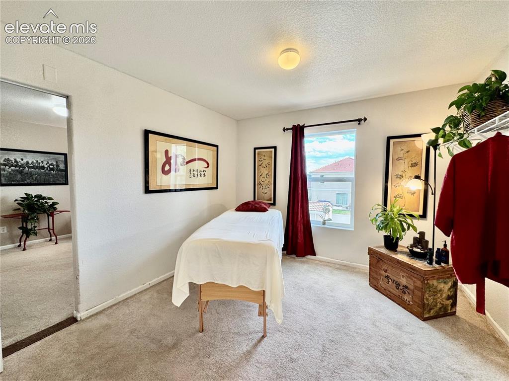 Image 24 of 36: Carpeted room with a single window, a ceiling-mounted light fixture, and li