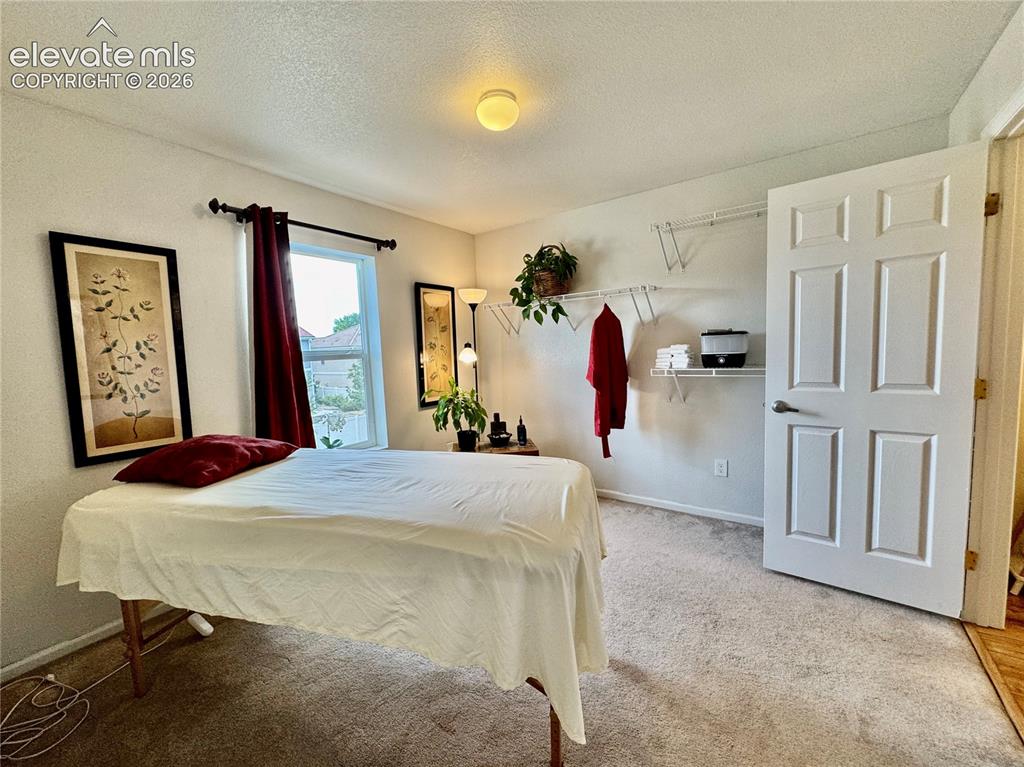 Image 25 of 36: Carpeted interior space featuring a window with dark curtain rods, a panele