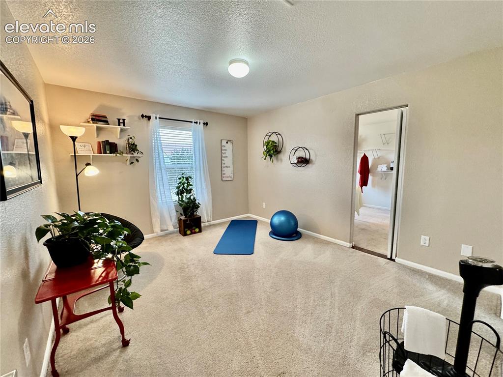 Image 26 of 36: Carpeted room with a ceiling-mounted light fixture, window with blinds and 
