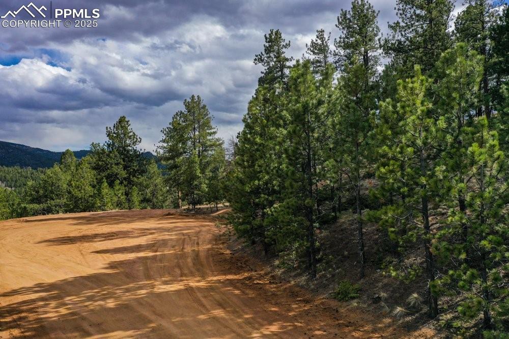 Image 10 of 34: View of road featuring a wooded view