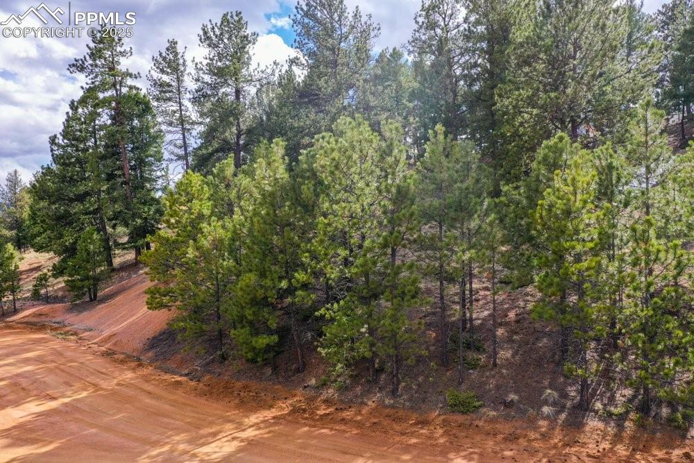 Image 11 of 34: View of landscape