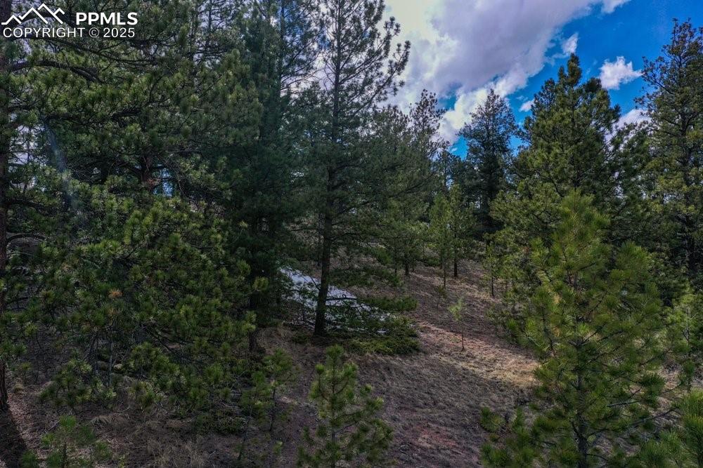 Image 18 of 34: View of landscape