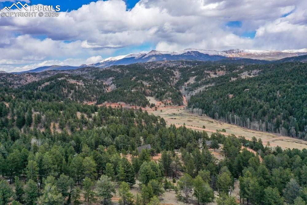 Image 21 of 34: View of mountain feature with a wooded view