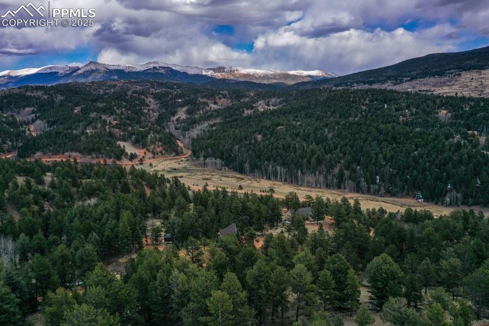 Image 22 of 34: Mountain view featuring a forest view