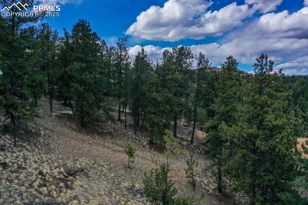 Image 28 of 34: View of nature featuring a forest view