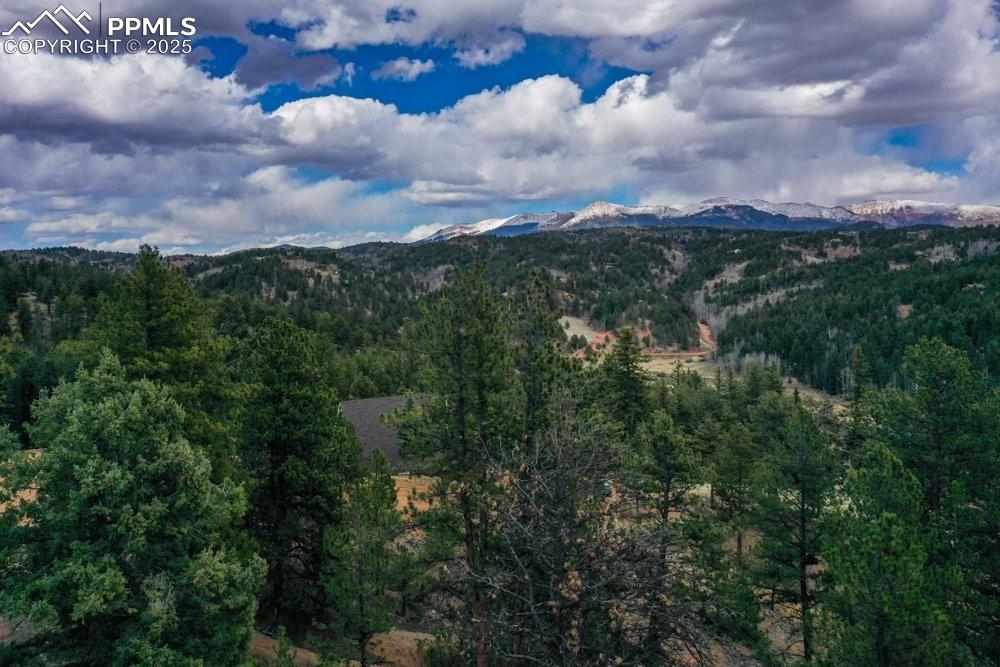 Image 29 of 34: Property view of mountains featuring a forest view