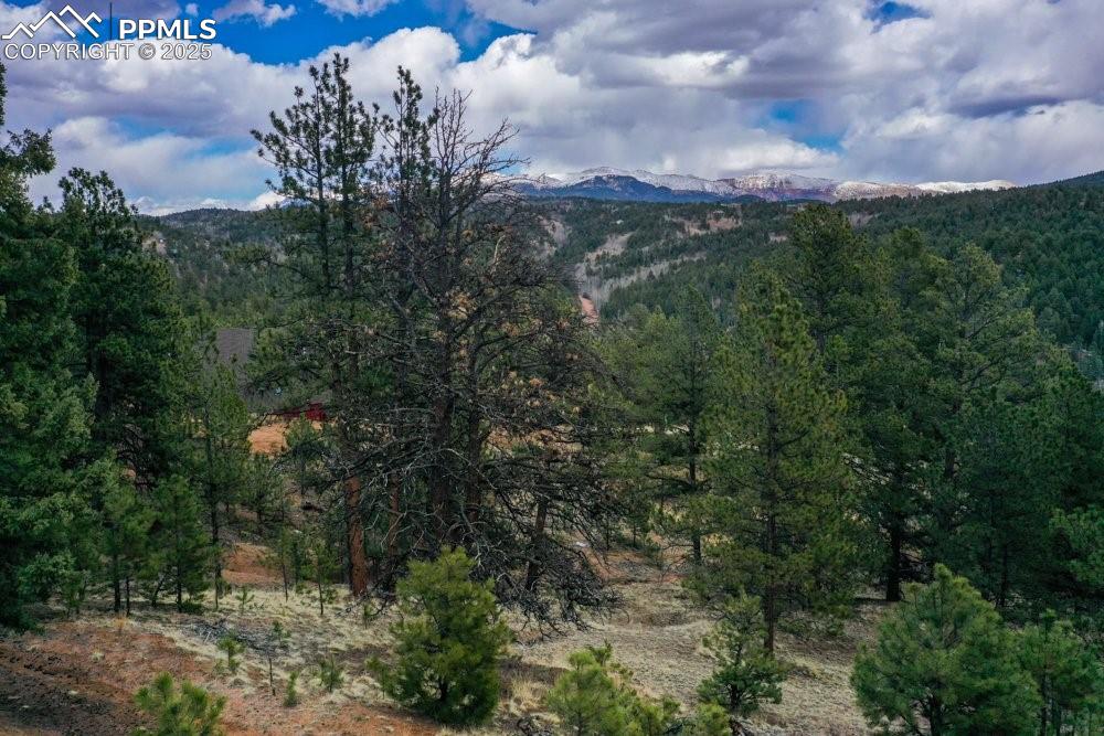 Image 30 of 34: Property view of mountains with a view of trees