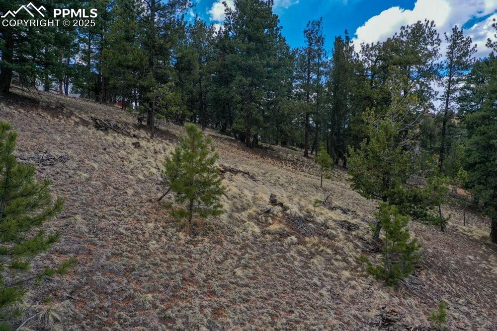 Image 32 of 34: View of landscape