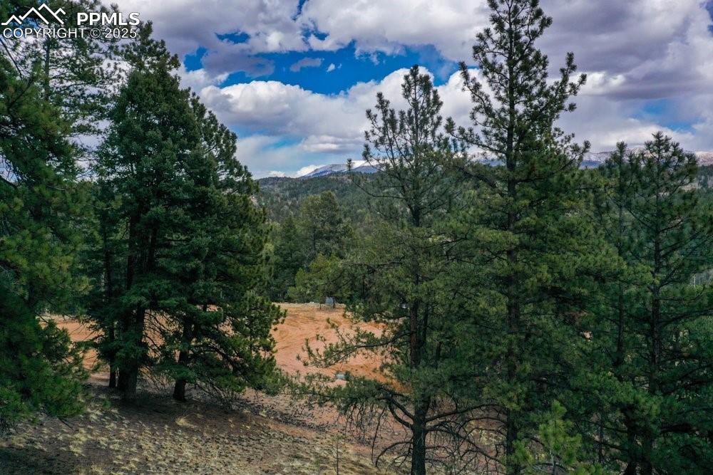 Image 33 of 34: Mountain view featuring a wooded view
