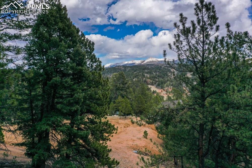 Image 34 of 34: Other